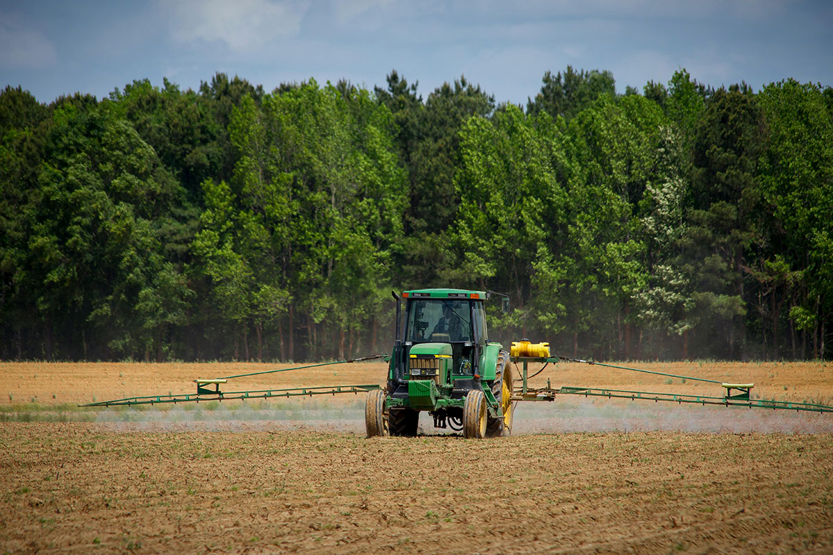 Fermierii pensionari vor pierde accesul la subvenții UE: Ministerul Agriculturii avertizează asupra efectelor deciziilor Bruxelles-ului